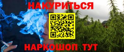 крисы Будённовск