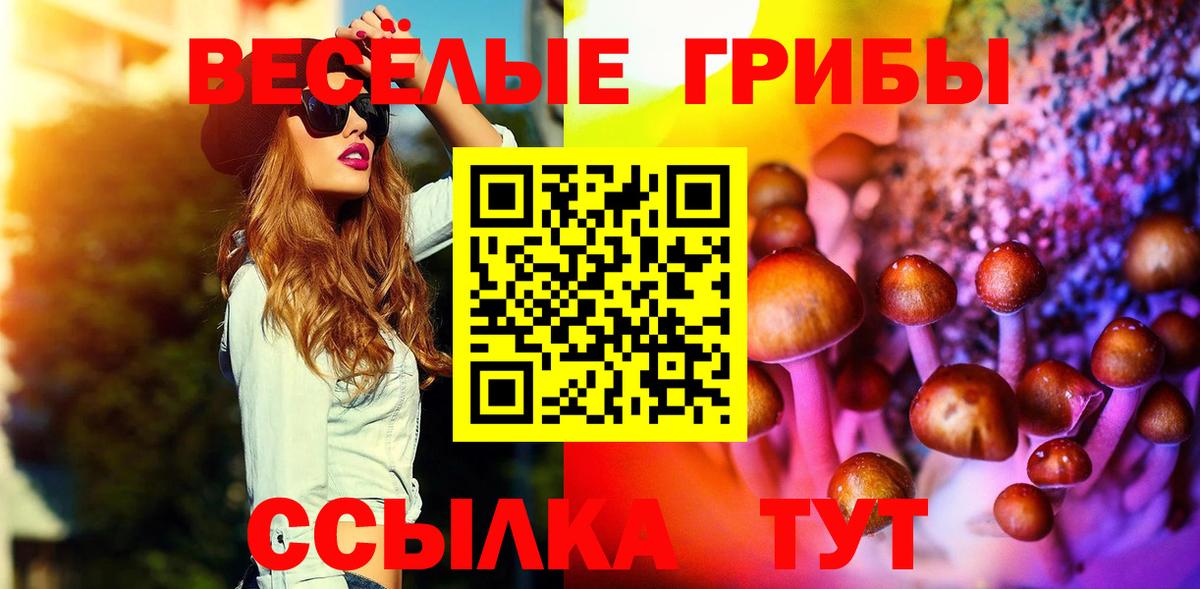Осинники  купить наркотик  Вход с VPN  Галлюциногенные грибы GOLDEN TEACHER 